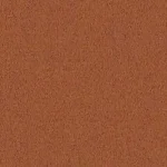 225-Rust