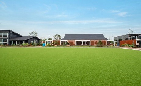 Artificial Grass