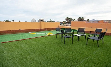Artificial Grass