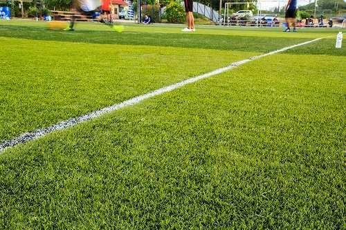 Athletic Turf