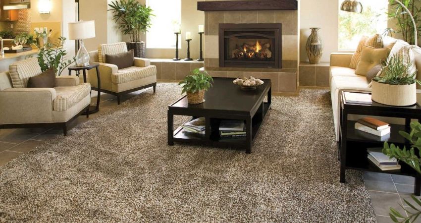 Carpet Styles for Living Room