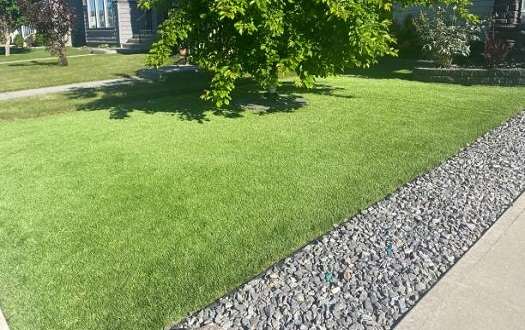 Artificial Grass