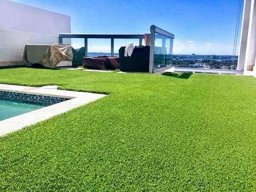 Poolside Grass