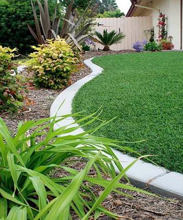 Premium Artificial Grass in Abu Dhabi