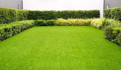 Artificial Grass Sharjah