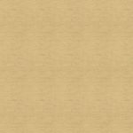 ( Folio Kinsey Dijon ) i8