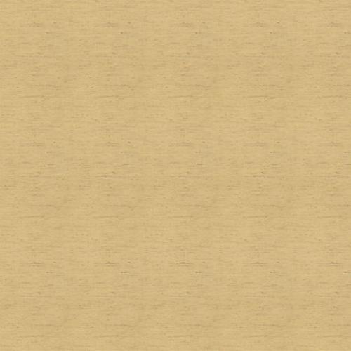 ( Folio Kinsey Dijon ) i8