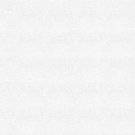 ( Folio Radley White ) i8