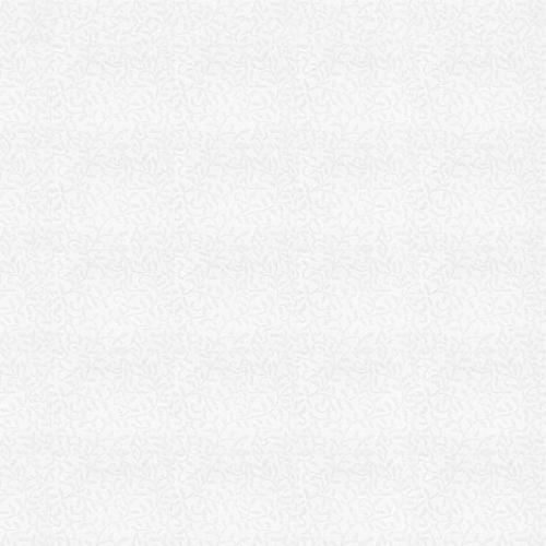 ( Folio Radley White ) i8