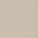 ( Folio Shimmer Dust ) i8