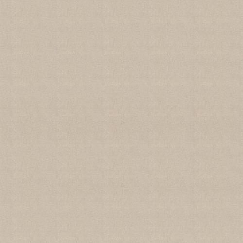 ( Folio Shimmer Dust ) i8