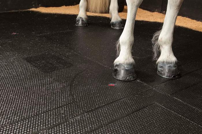 Horse Stall Mats