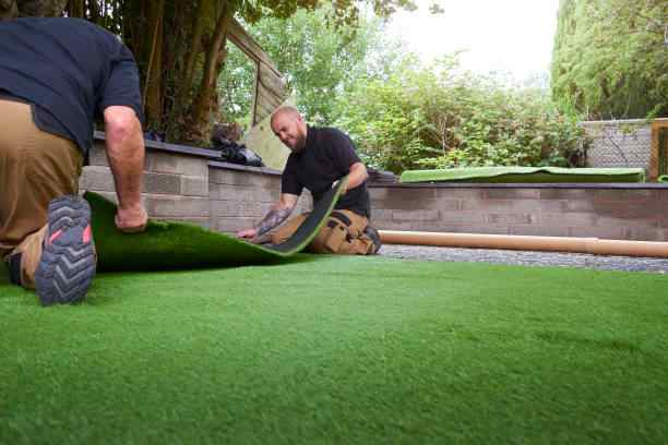 Latest Artificial Grass Ras Al Khaimah