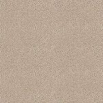(Meraki Taupe) i8