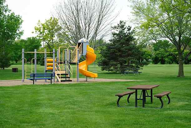 Playground Grass