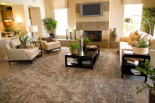 Wall-to-Wall Carpets