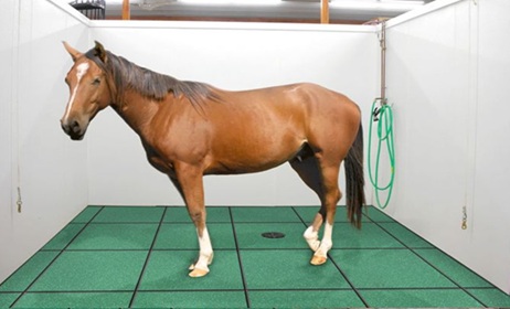 Horse Stall Mats