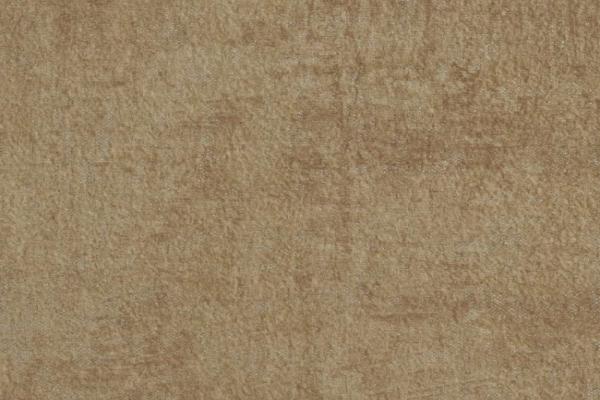 (D3 Costarica – 1905) DF