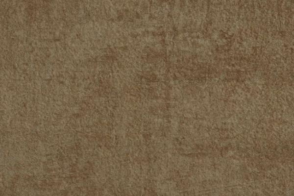 (D3 Costarica – 1906) DF