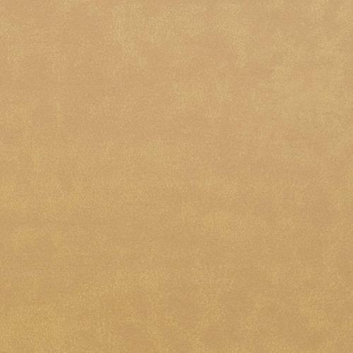 (D3 Haiti - 1401) DF