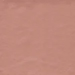 (4970010039) AG