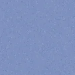 (Medium-Blue-21020979) MS
