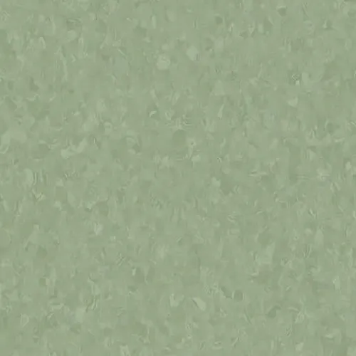 (Medium-Green-21020976) MS