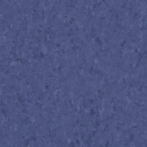 (Midnight-Blue-21020775) MS