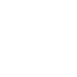 parquet