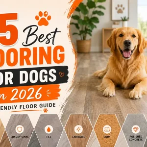 15 Best Flooring For Dogs in 2026