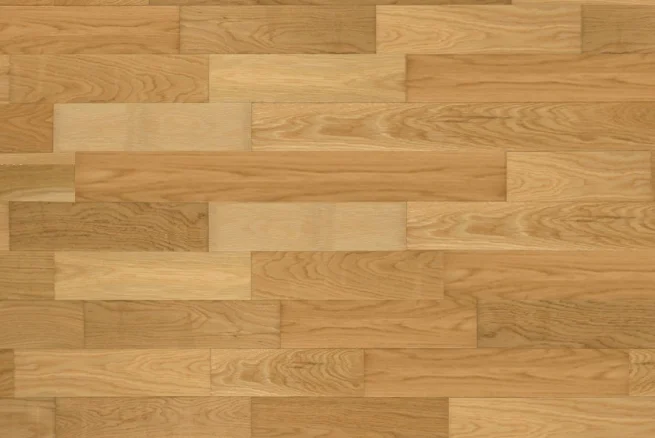 European Wood Collection