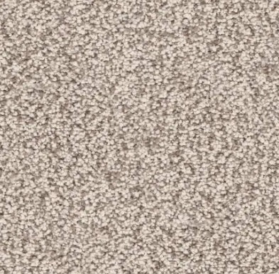 Polyester Carpets