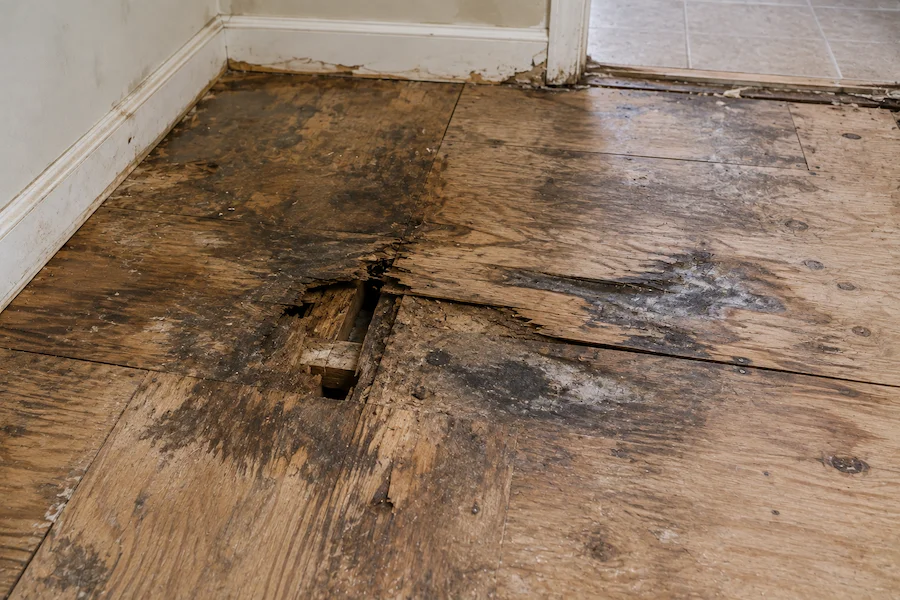 Signs Your Subfloor Has Damage