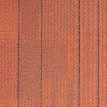 Strawberry - 73094