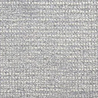 cut and loop carpet sample