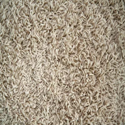 frieze carpet sample