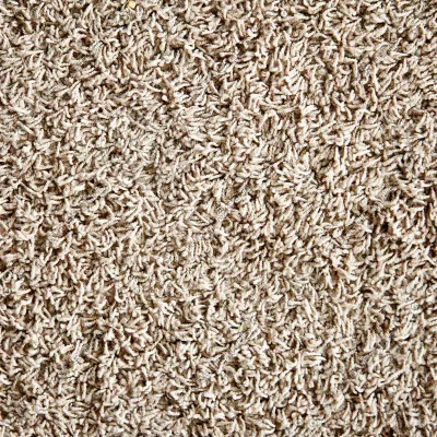 shag carpet sample