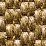 Golden Beige Natural Sisal Carpet in Dubai